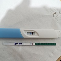 12.23  同房，本来7号来大姨妈，到现在大姨妈还没来，就测了下，这是怀了吗？