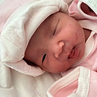 生啦 两个女宝宝。两个都随我双眼皮。母女平安