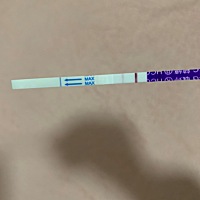 这是怀孕了吗