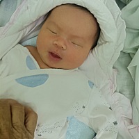 有没有剖腹产不想喂奶的宝妈