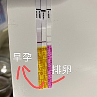 隐隐的一道杠，我不太确定是不是怀了