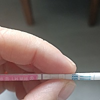 怀孕了吗为什么其他的都是 白板。