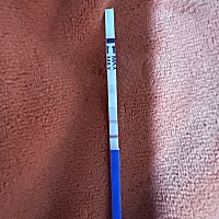各位大佬帮我看看 我这是怀孕了嘛