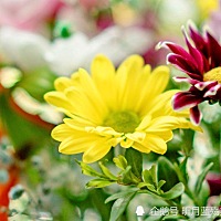 如何有更好的心态呀……有时候简直要崩溃了…… 已经上了幼儿园了，各种的不想去，早晚接送，哈哈 幼儿...