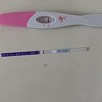 2022年1月25日最近一次月经开始日期，2月26日喝了两杯白酒左右，如果怀孕了，有影响吗？