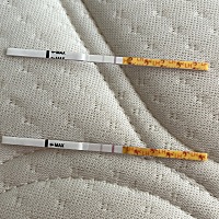 是阳，还是弱阳