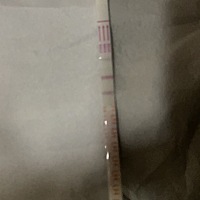 排卵日。接好孕。