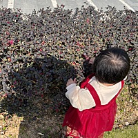 从小到大我24小时跟着你，你那个奶奶那个姑姑没有带过你一秒，从来没有给你买吃买穿，今晚你居然头也不...