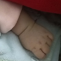 无处安放的小手