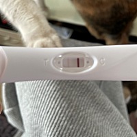 这应该是怀了吧？