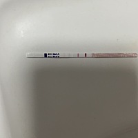 今天月经结束第5天，排卵试纸显示弱阳性，经期记录上显示22号排卵。希望今年能生一个健康的虎宝宝！