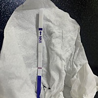 冻胚移植第十天，本来过了五分钟我都丢了，白板很失望心情低落，之后想想又重新捡起来，发现多了一条很...
