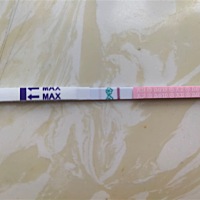 前两天都比这个颜色深，这是排卵了吗？