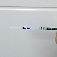 3月25日排卵同房 到今天是第十天 姐妹们帮我看看有吗