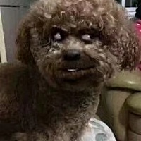 大姨妈还有一个星期来测孕纸测得出来吗