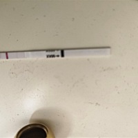 末次月经3月27日来，4月1日走，排卵4月10号，美柚显示大姨妈明天来，每个月也都是会准时的人有时候会前...
