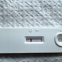 这是有了么？姐妹们帮我看看