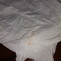 刚刚那个时候去上厕所时。我擦BB时候就有血是不是怀孕还是月经血