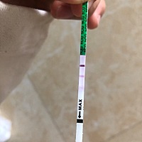 请问这是怀孕了吗