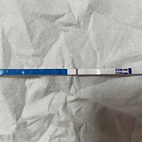 上次3月27日来的月经？4月12日排卵，工作了3次，至今5月2日没来月经，请问是怀了吗？