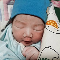 2022年4月27号/下午1点5分出生😘 6斤9两 /男宝😽