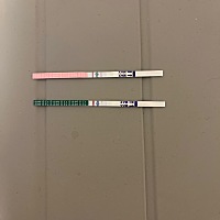 上面是排卵试纸，下面是验孕试纸。大概等了10分钟才显色，这是怀孕了吗 ，会不会串色了呢？我先放验孕试...
