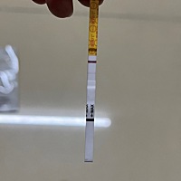 帮我看看这是有了吗？