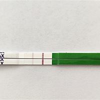 经期还有4天，排卵试纸这么显示，所以可以怀上吗？