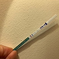 上个月月经14号今天20号了还没来19号查的血但是查了没有、乳房胀痛尿频试纸又一直一深一浅这到底是怎么...