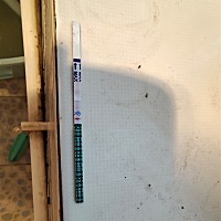 我是怀了一直期待
