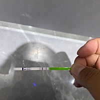 前面两天都安排了，今天是排卵日 也测到了
