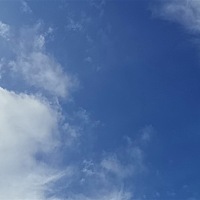 今年32岁了，去年备孕想生孩子，10月的时候发现自己多囊，医生说要减肥，调理半年，中间配合医生每个月...