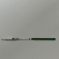 19、20号排卵 姨妈推迟一天了还是大白板 是不是意味着这个月没怀上啊 心灰意冷了 备孕了半年
