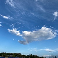 还有三天就姨妈日了，没敢测，在强阳时候都安排过，顺其自然吧，排卵后第七天开始体温升高，第七天36.8...