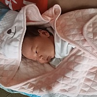 7.2斤小公子