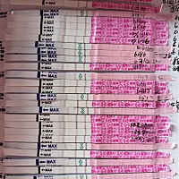 6月5号姨妈6月10号走的 12开始测排卵 17测到强阳 18凌晨到四点之间转弱的 然后我一直测 18号早上中午有...