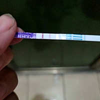 14号晚上