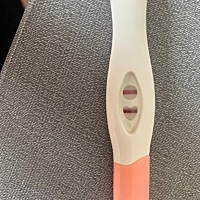 突如其来的惊喜