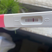 大姨妈延迟五天了  今天早上是这样显示  不知道是否是怀孕