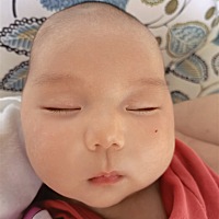 两个月纯母乳养成小猪。