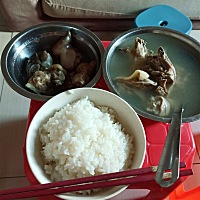 每天除了肉肉，还是肉肉，青菜是不让吃的，馋丫。
