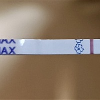 月经前两天测，大家帮忙看看，是不是没有希望了