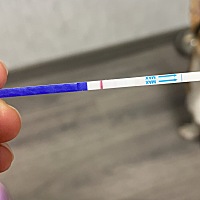 友友们，帮我看看，我这个是不是有希望啊🙀姨妈推迟第三天