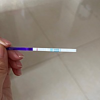 家人们 我这个是没有怀孕吧。。