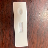 月经延迟6天了。这个算是怀孕了吗。急急急