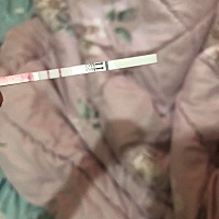 这是怀孕了吗在线等