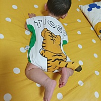 家有萌虎！！！