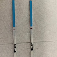 小仙女们，这个图片显示应该是没有怀上吧？？