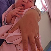 8.23  7斤2两小胖妞一个
