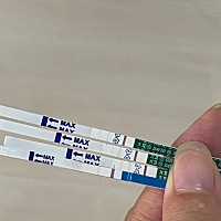 一早上就一次性测了四根